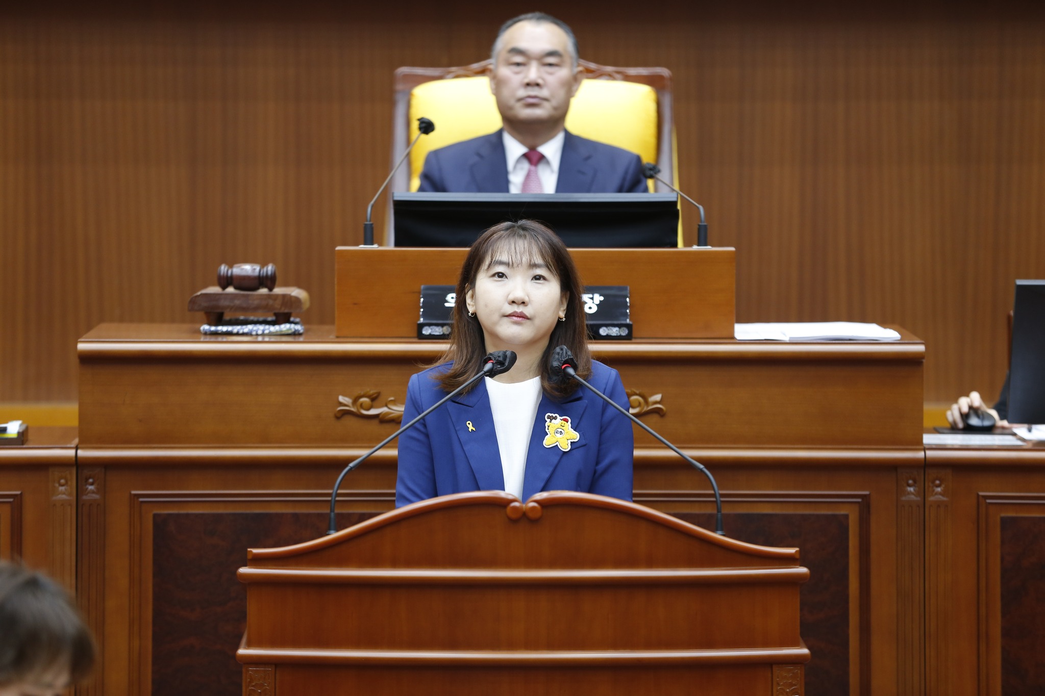 [제325회 임시회] 제2차 본회의 - 4