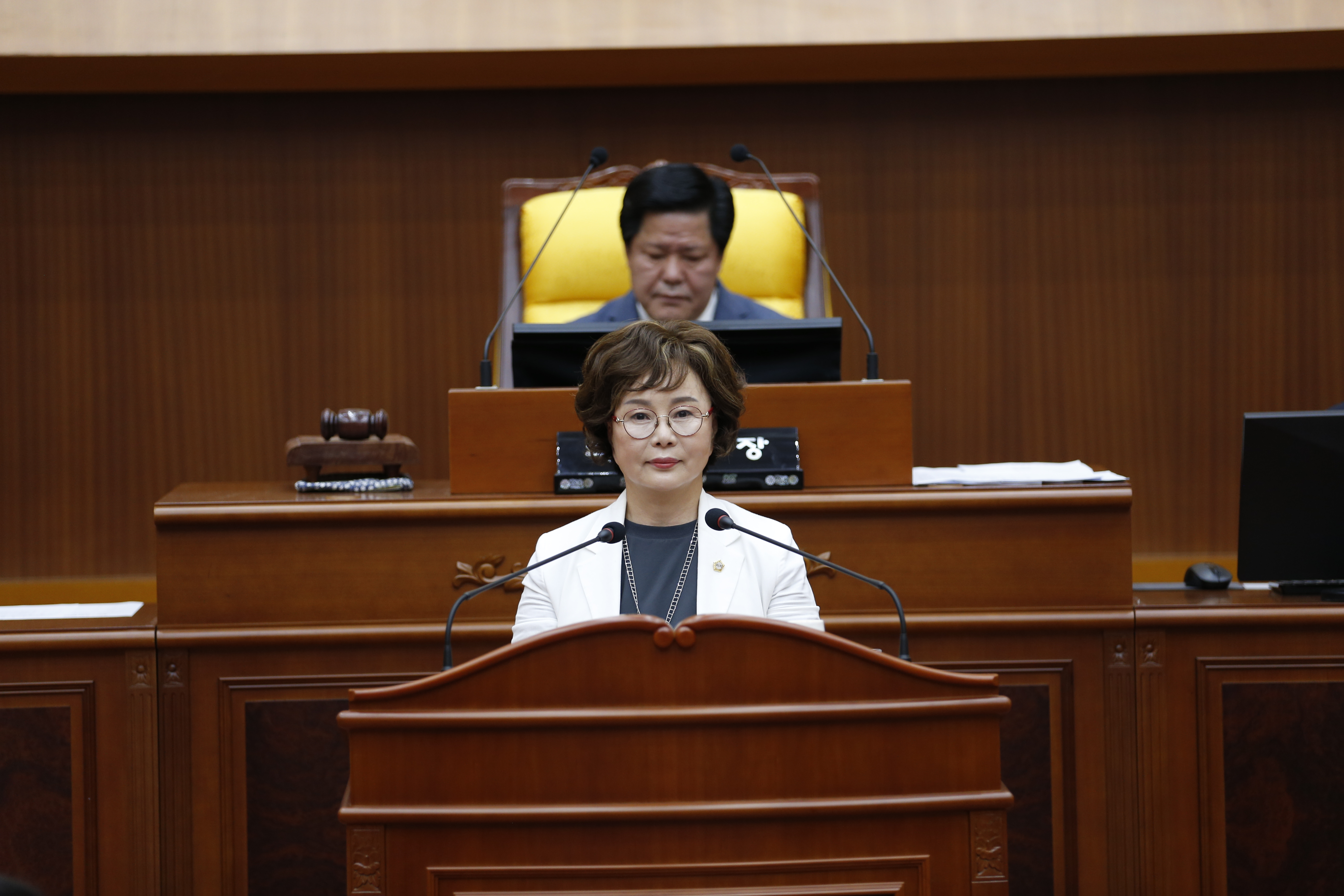 [제338회 임시회] 제2차 본회의 - 3