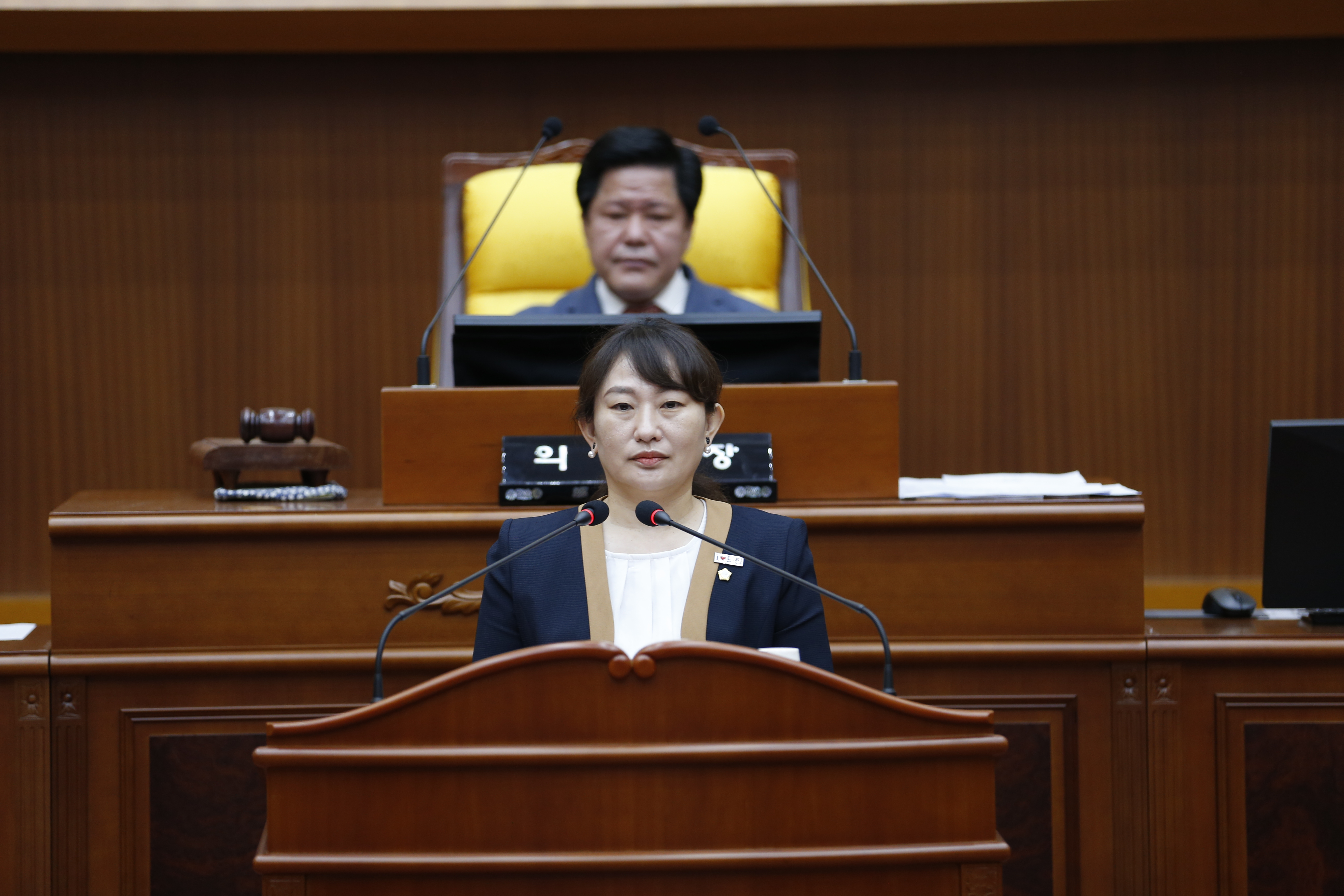 [제338회 임시회] 제2차 본회의 - 4