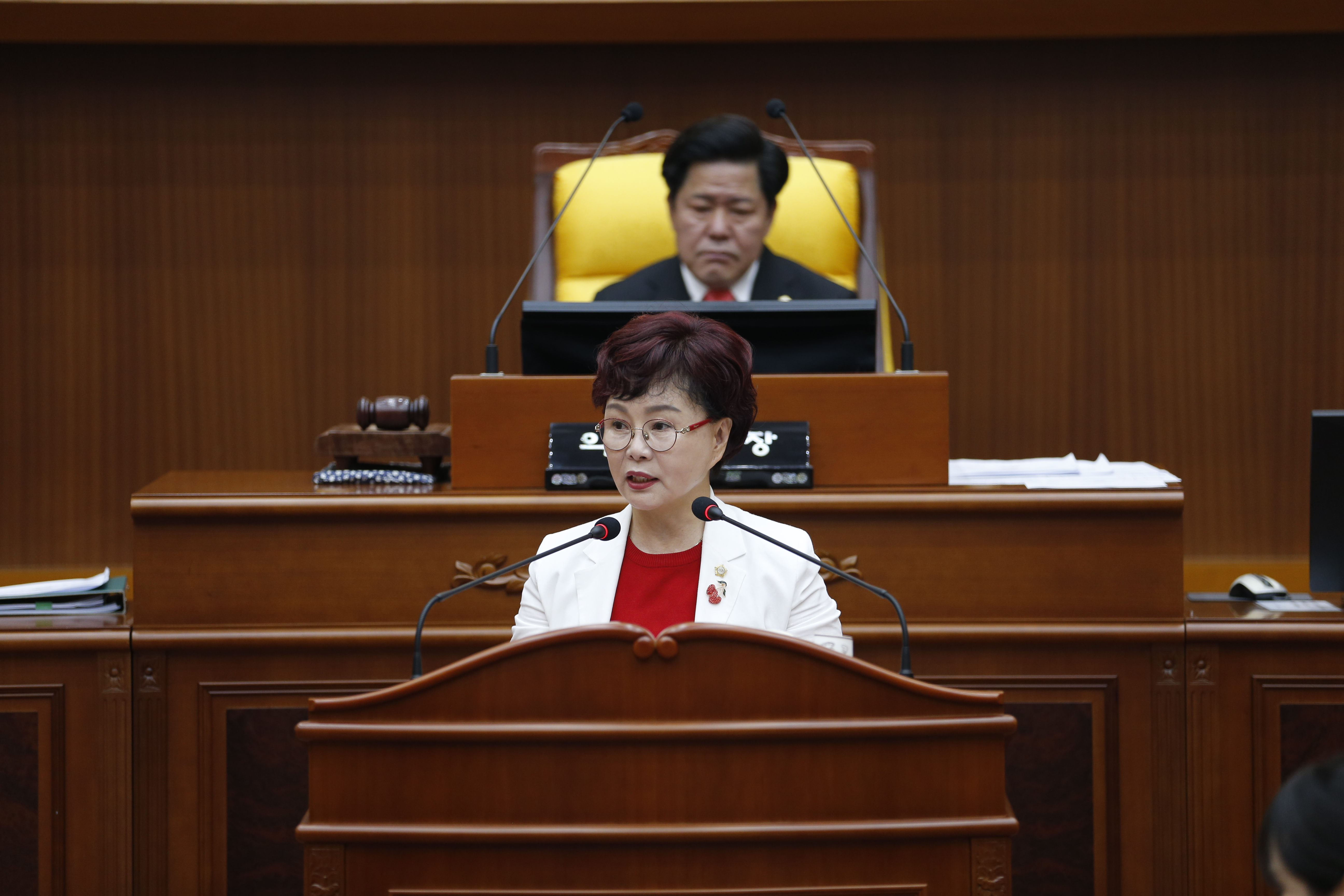 제347회임시회 1차 본회의 - 3
