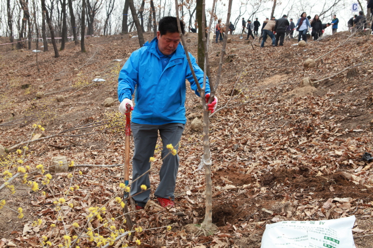 식목일 나무심기 행사 - 3