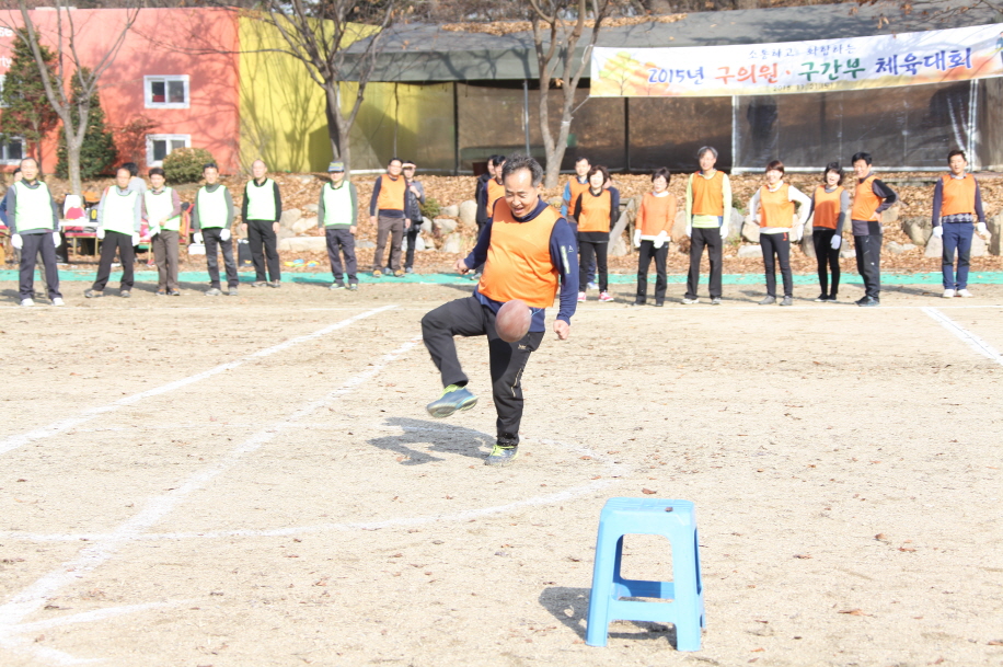 2015.구의원.구간부 체육대회 - 3