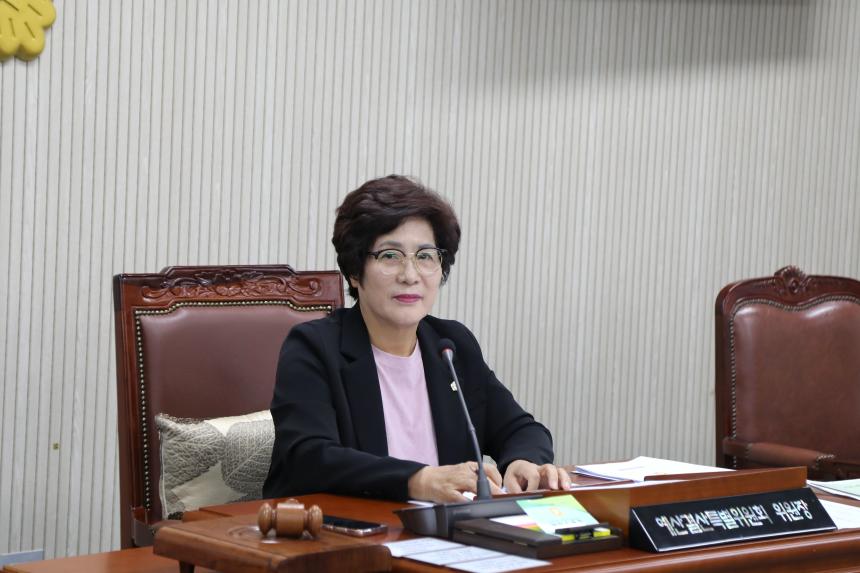 제357회 정례회 제3차 예산결산특별위원회